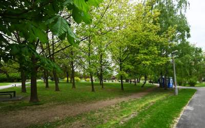 Tak zmienia się park Kurdawanów, nowe rośliny, alejki, plac zabaw - zdjęcie 30