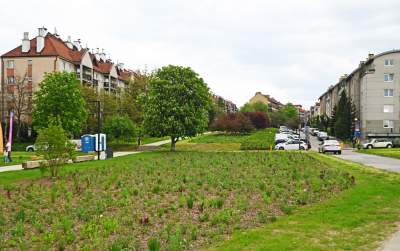 Tak zmienia się park Kurdawanów, nowe rośliny, alejki, plac zabaw - zdjęcie 17