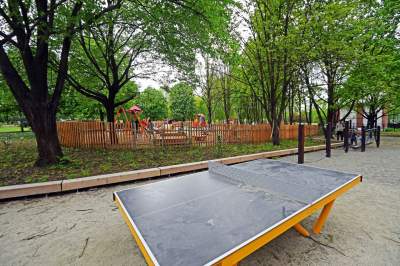 Tak zmienia się park Kurdawanów, nowe rośliny, alejki, plac zabaw - zdjęcie 8