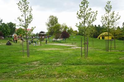 Miasto zbiera uwagi: jak remontować drugą część parku Kurdwanów? - zdjęcie 2