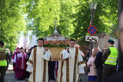 Tłumy wiernych w procesji na Skałkę, zabrzmiał dzwon Zygmunt - zdjęcie 33