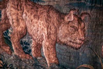 Wawelskie arrasy, światowy unikat - zdjęcie 5