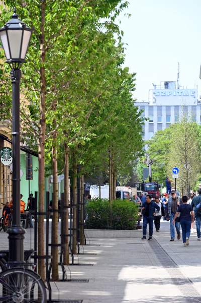 Piękna metamorfoza ulicy Krupniczej, pierwszy taki woonerf w Krakowie - zdjęcie 13
