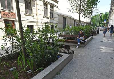 Piękna metamorfoza ulicy Krupniczej, pierwszy taki woonerf w Krakowie - zdjęcie 15