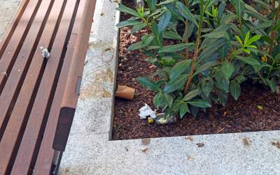 Piękna metamorfoza ulicy Krupniczej, pierwszy taki woonerf w Krakowie - zdjęcie 25