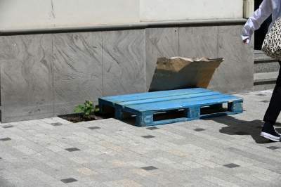 Piękna metamorfoza ulicy Krupniczej, pierwszy taki woonerf w Krakowie - zdjęcie 9