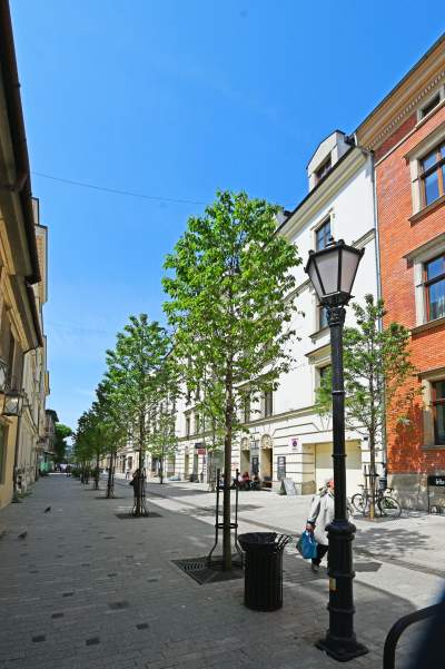 Piękna metamorfoza ulicy Krupniczej, pierwszy taki woonerf w Krakowie - zdjęcie 29