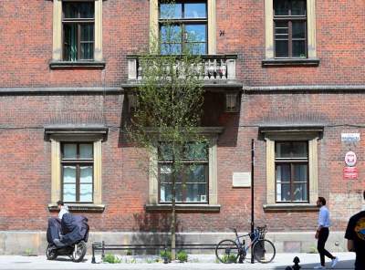 Piękna metamorfoza ulicy Krupniczej, pierwszy taki woonerf w Krakowie - zdjęcie 31