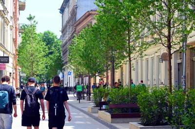 Piękna metamorfoza ulicy Krupniczej, pierwszy taki woonerf w Krakowie - zdjęcie 3