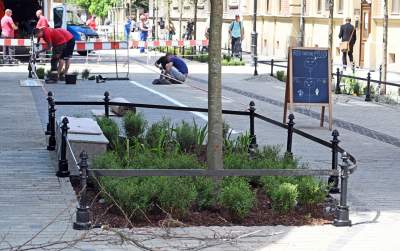 Piękna metamorfoza ulicy Krupniczej, pierwszy taki woonerf w Krakowie - zdjęcie 32