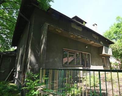 Niszczejąca Modrzejówka, piękny zakątek w centrum Krakowa - zdjęcie 10