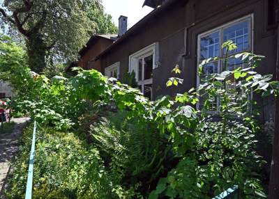 Niszczejąca Modrzejówka, piękny zakątek w centrum Krakowa - zdjęcie 3