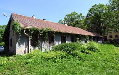 Niszczejąca Modrzejówka, piękny zakątek w centrum Krakowa - zdjęcie 19