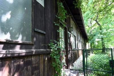 Niszczejąca Modrzejówka, piękny zakątek w centrum Krakowa - zdjęcie 23