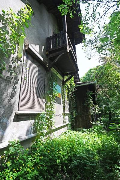 Niszczejąca Modrzejówka, piękny zakątek w centrum Krakowa - zdjęcie 22