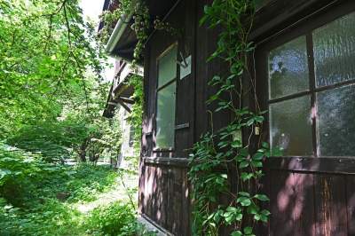 Niszczejąca Modrzejówka, piękny zakątek w centrum Krakowa - zdjęcie 17