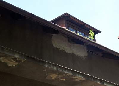 Niszczejąca Modrzejówka, piękny zakątek w centrum Krakowa - zdjęcie 7