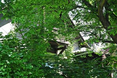 Niszczejąca Modrzejówka, piękny zakątek w centrum Krakowa - zdjęcie 28