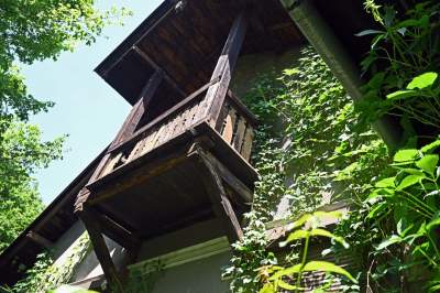 Niszczejąca Modrzejówka, piękny zakątek w centrum Krakowa - zdjęcie 24