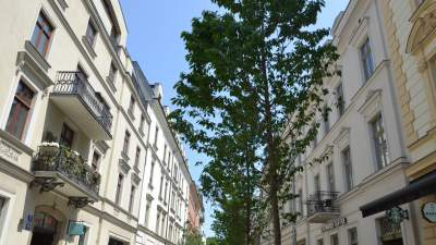 Koncerty, baloniki i autografy. Święto ulicy Krupniczej - zdjęcie 25