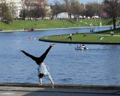 Zakwitły najsłynniejsze krakowskie magnolie. Jest cudownie! - zdjęcie 31