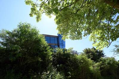 Na Zakrzówku już zaczęło się lato. Park i kąpielisko robią wrażenie! - zdjęcie 34