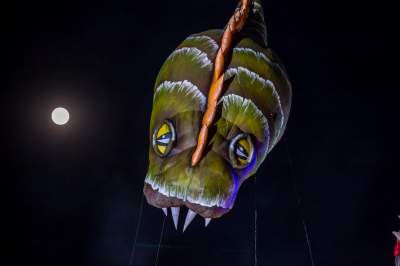 Ależ to był wielki odlot smoków pod Wawelem! Rewelacyjne widowisko - zdjęcie 32