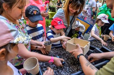 Taki urząd lubimy najbardziej, „Ale kosmos!” był w magistracie - zdjęcie 22