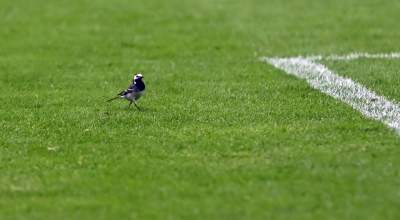 WIelkie lanie przy Reymonta, Puszcza rozbiła Wisłę - zdjęcie 18