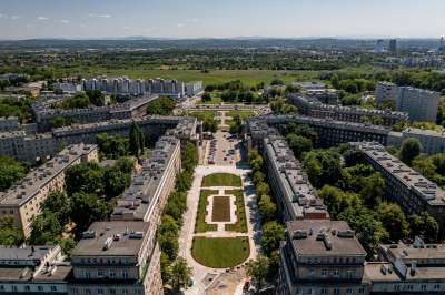 Zielona rewolucja na Alei Róż, dzięki Budżetowi Obywatelskiemu - zdjęcie 3