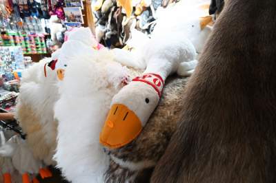 Gęś Pipa kontra Smok Krakusek. Nierówna walka na straganach - zdjęcie 20