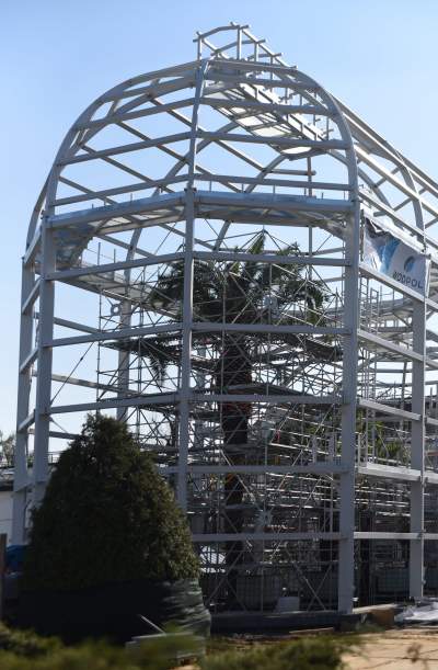 Ta konstrukcja uratuje najstarszą palmę w Krakowie - zdjęcie 19