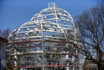 Ta konstrukcja uratuje najstarszą palmę w Krakowie - zdjęcie 6