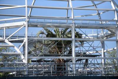 Ta konstrukcja uratuje najstarszą palmę w Krakowie - zdjęcie 9