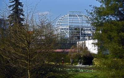 Ta konstrukcja uratuje najstarszą palmę w Krakowie - zdjęcie 12