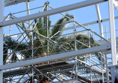 Ta konstrukcja uratuje najstarszą palmę w Krakowie - zdjęcie 3