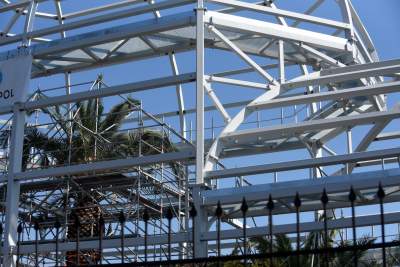 Ta konstrukcja uratuje najstarszą palmę w Krakowie - zdjęcie 4