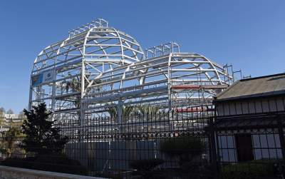 Ta konstrukcja uratuje najstarszą palmę w Krakowie - zdjęcie 1