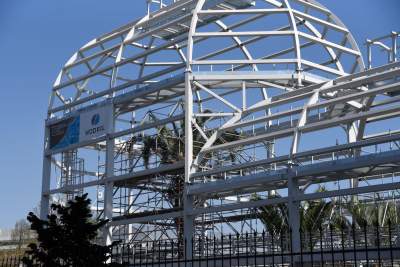 Ta konstrukcja uratuje najstarszą palmę w Krakowie - zdjęcie 2