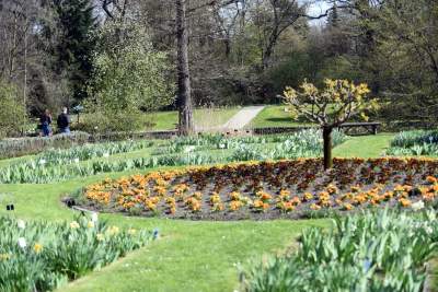 Wiosną wygląda i pachnie najpiękniej! fot. Marek Lasyk - zdjęcie 8