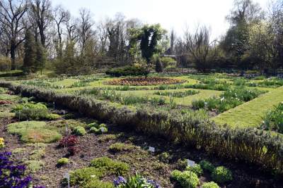 Wiosną wygląda i pachnie najpiękniej! fot. Marek Lasyk - zdjęcie 6