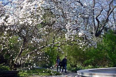 Wiosną wygląda i pachnie najpiękniej! fot. Marek Lasyk - zdjęcie 14
