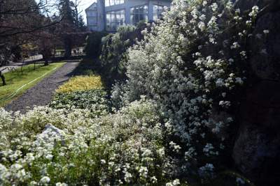 Wiosną wygląda i pachnie najpiękniej! fot. Marek Lasyk - zdjęcie 20