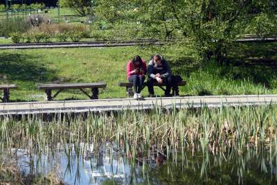 Wiosną wygląda i pachnie najpiękniej! fot. Marek Lasyk - zdjęcie 11