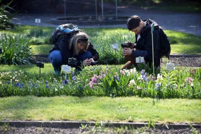 Wiosną wygląda i pachnie najpiękniej! fot. Marek Lasyk - zdjęcie 3