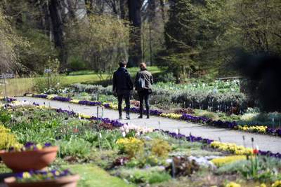Wiosną wygląda i pachnie najpiękniej! fot. Marek Lasyk - zdjęcie 2