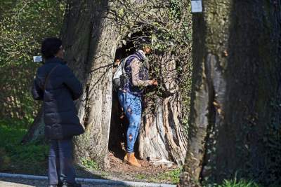 Wiosną wygląda i pachnie najpiękniej! fot. Marek Lasyk - zdjęcie 9