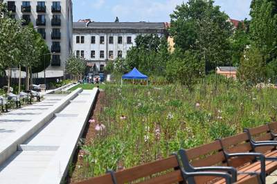 Park Szymborskiej na parę dni przed otwarciem, mural też prawie gotowy - zdjęcie 26