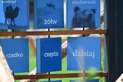 Park Szymborskiej na parę dni przed otwarciem, mural też prawie gotowy - zdjęcie 17