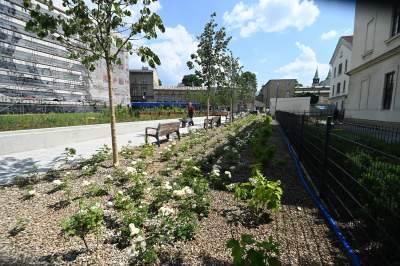 Park Szymborskiej na parę dni przed otwarciem, mural też prawie gotowy - zdjęcie 9